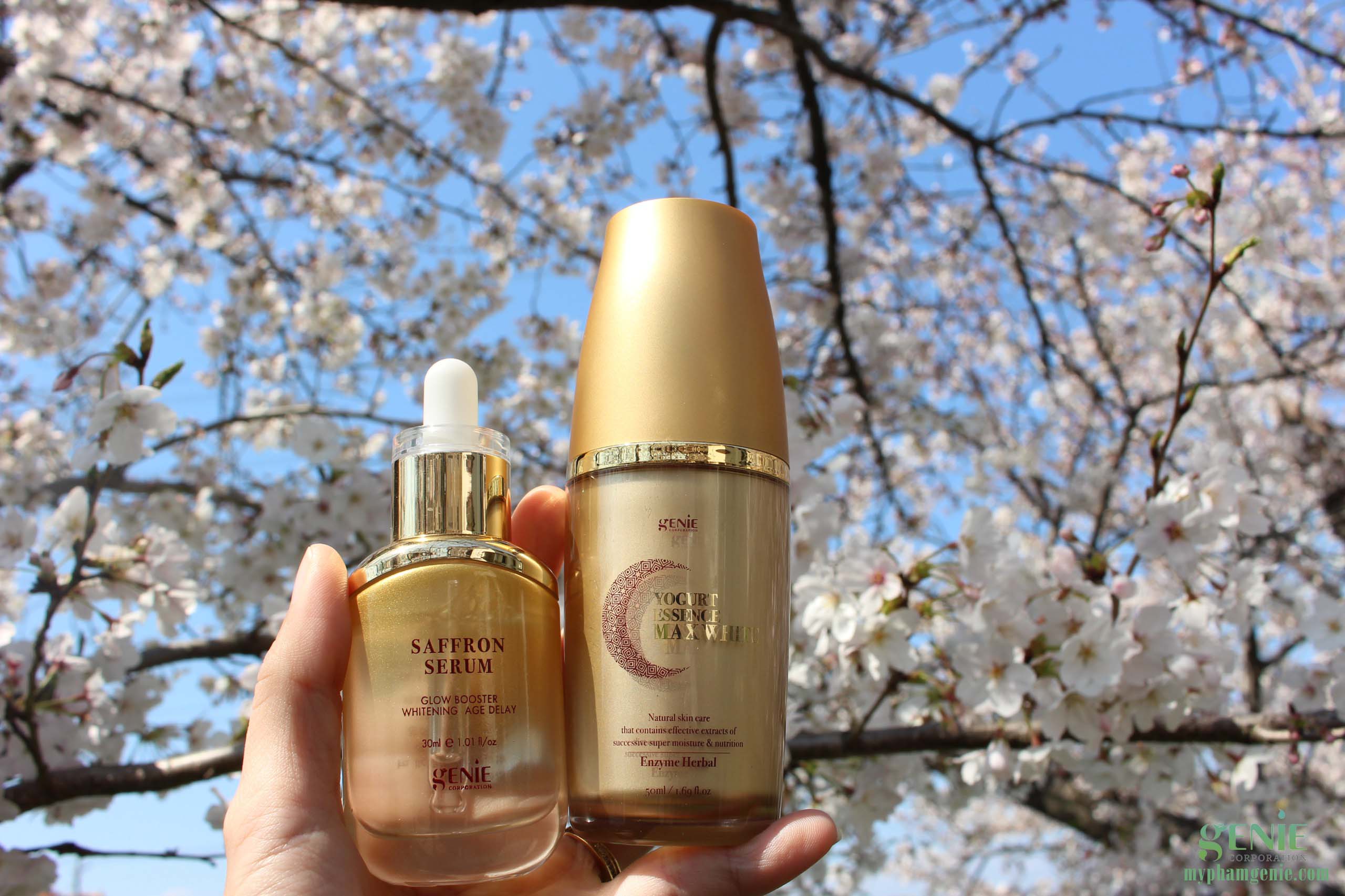 Review serum saffron hàn quốc